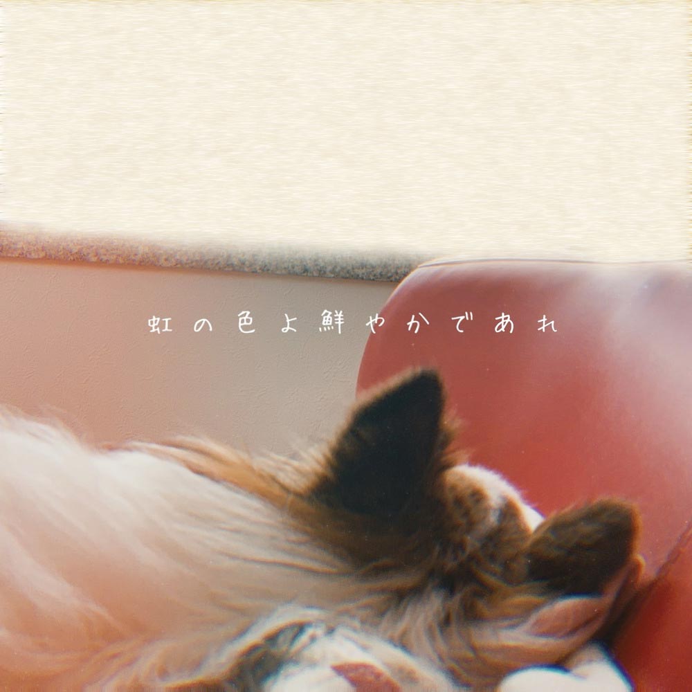 DISCOGRAPHY | NELKE